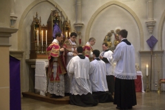 p4.jpg