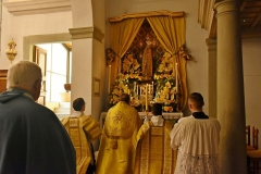 Gricigliano_20200314_104431